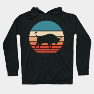 Bull Retro Sunset Hoodie